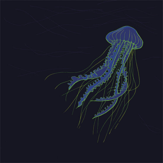 Magazine Les Cahiers Science et Connaissance : illustration scientifique (2019)