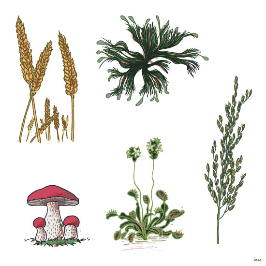 Magazine Questions Sciences : illustration scientifique (2022)