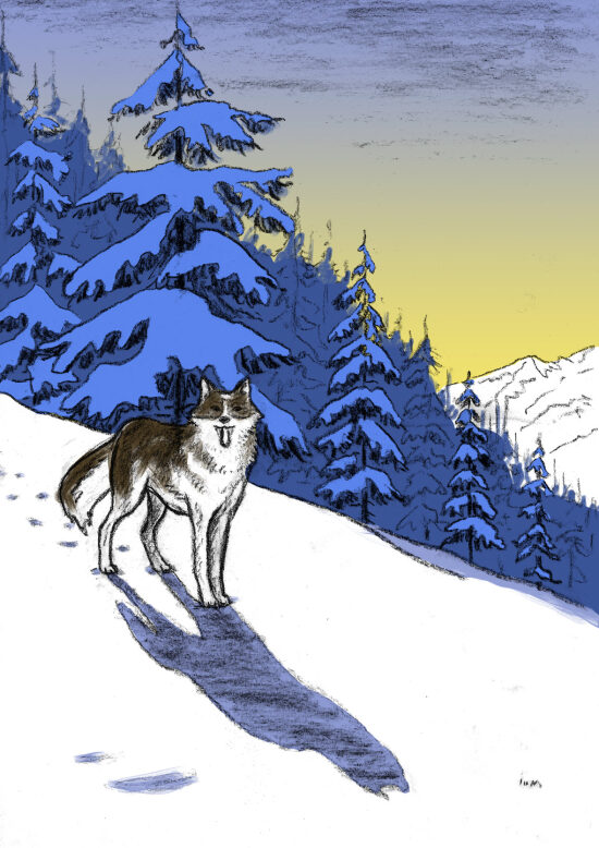 Editions Au Clair de la Plume : illustration jeunesse (2023)