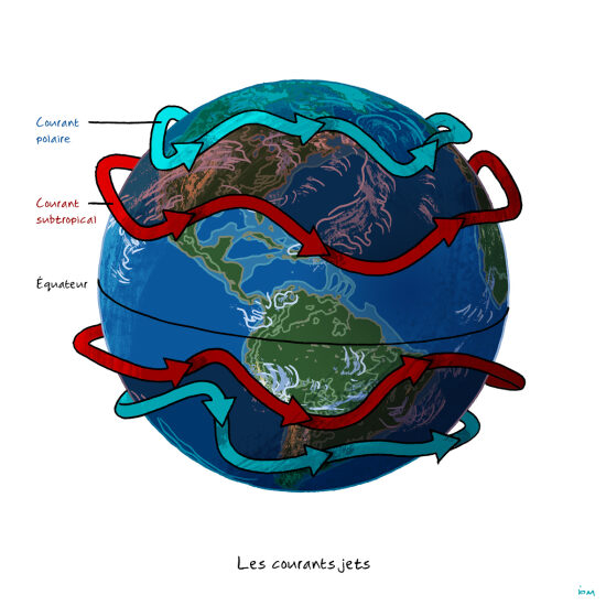 Magazine Les Cahiers Science et Connaissance : illustration scientifique (2026)