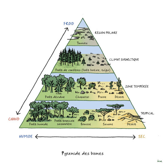 Magazine Les Cahiers Science et Connaissance : illustration scientifique (2021)