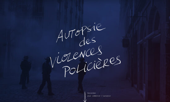 Infographie interactive : les violences policières (2018)