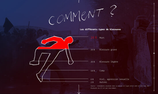 Infographie interactive : les violences policières (2018)